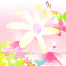 ひとつだけの花