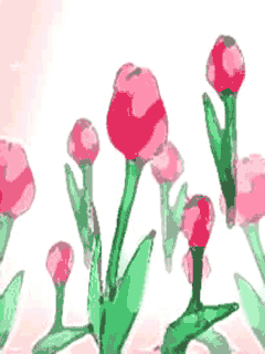 �`���[���b�v